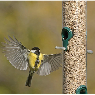 RSPB Solsikkefrø Hagefuglmat 1,8kg