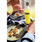 Pallini Limoncello Liqueur 50cl, imported from Italy