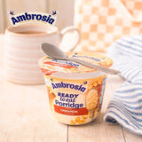 Ambrosia Cinnamon Porridge Pot 210g - British product