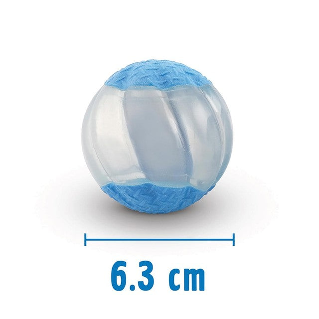 Zeus Duo Ball dog toy with squeaker and glow-in-the-dark, 6.3cm (British brand)