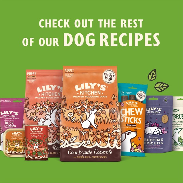 Lily's Kitchen Lamb Hotpot dog food 150g, UK version