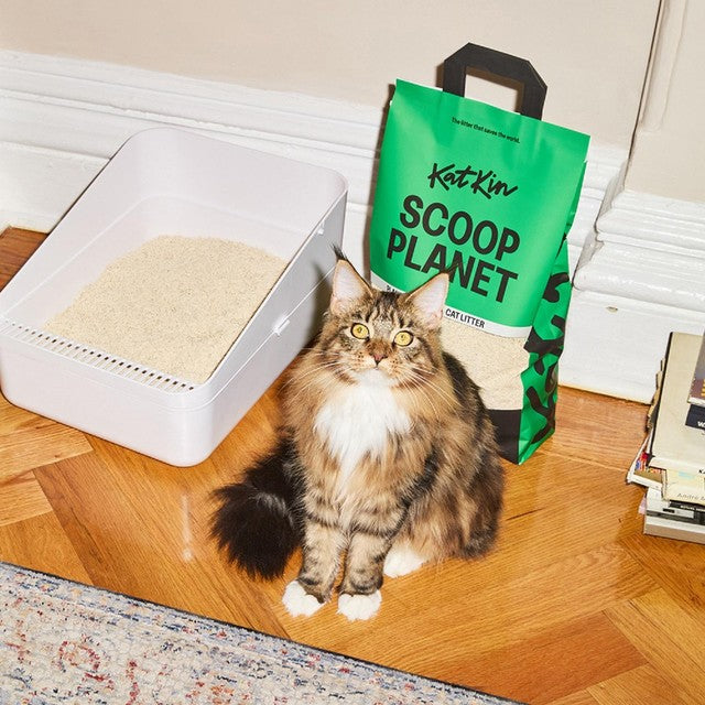 Katkin Scoop Planet cat litter 4.5kg, UK version