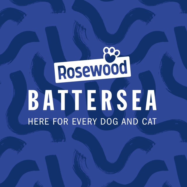 Rosewood Battersea Anti-Hairball Chicken Cushions cat treats, imported from the UK