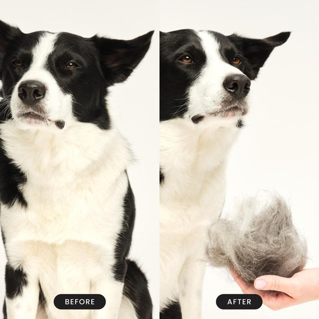 Tangle Teezer Pet De-Shedding Brush, imported from the UK