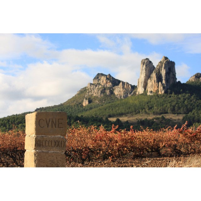 CVNE Barrel Fermented Blanco white wine 75cl - British product