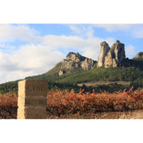 CVNE Barrel Fermented Blanco white wine 75cl - British product