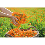 Weleda Calendula cuts and grazes spray 20ml (British brand)