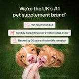 YuMOVE digestive rapid powder for dogs and cats, UK version
