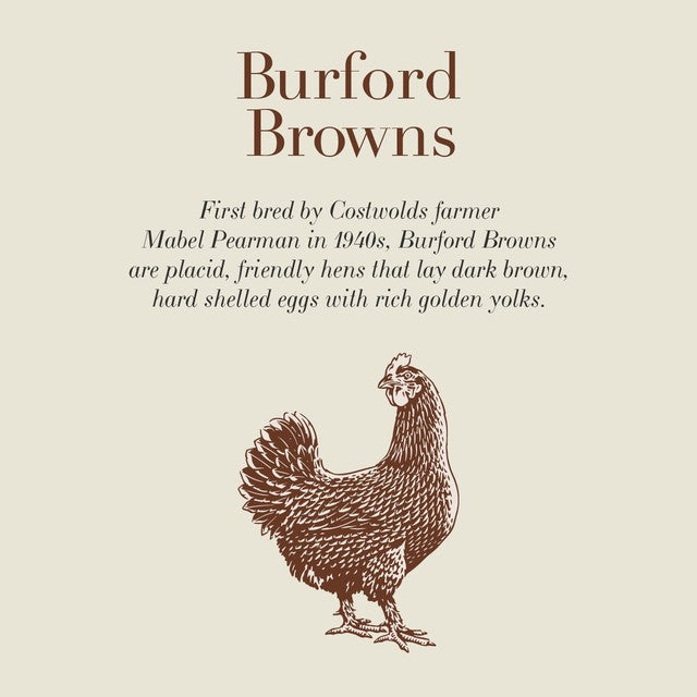 Clarence Court Burford Brown eggs 10 large pack - British product