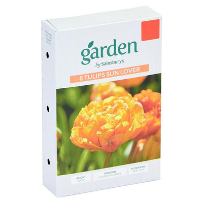 Sainsburys Sainsburys Tulips Sun Lover x10- اشترِ عبر الإنترنت من McGrocer