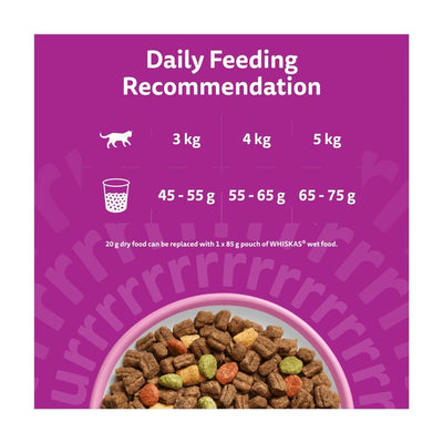 Nourriture sèche pour chats adultes Whiskas 1+ au saumon 1,9 kg