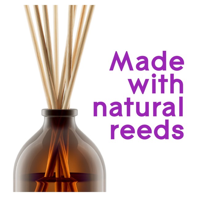 Glade Aromatherapy Reed Diffuser French Lavender Sandalwood 80ml, UK version