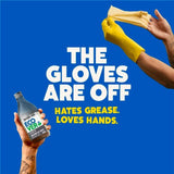 Ecover Power washing up liquid bergamot sage (British brand)