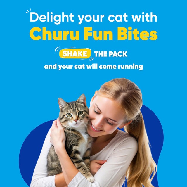 Churu cat treats Fun Bites Tuna Recipe, UK version