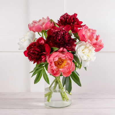 Sainsburys Mixed Peony Abundance- اشترِ عبر الإنترنت من McGrocer