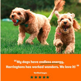 Harringtons chicken dry dog food 1.7kg, UK version