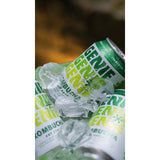 Genie Dry Apple Kombucha 330ml, UK version