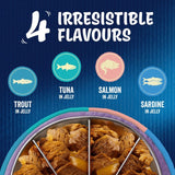 Felix senior cat food fish in jelly pouches - British product