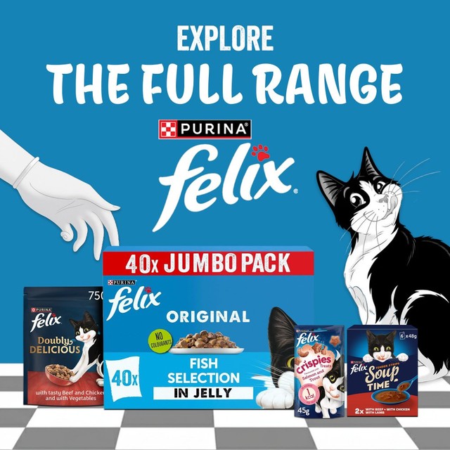 Felix fish selection in jelly wet cat food 80x85g - British product