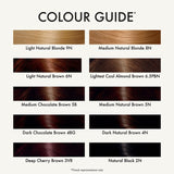 John Frieda Precision Foam hair dye in Light Natural Blonde, UK version