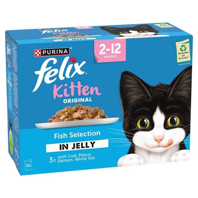 Felix Kitten wet cat food 12x85g - British product