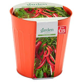 Sainsburys Garden Red Chilli Peppers