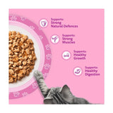 Whiskas Kitten wet cat food pouches 12x85g (British brand)