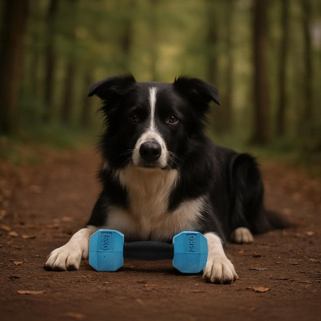 Nike Grind dumbbell and treat dispenser toy for medium/large dogs, imported from the UK