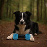 Nike Grind dumbbell and treat dispenser toy for medium/large dogs, imported from the UK
