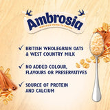 Ambrosia Cinnamon Porridge Pot 210g - British product