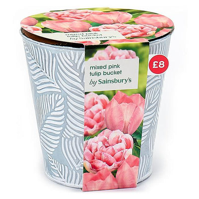 Sainsburys Sainsburys Seau Tulipes Roses Mixtes - Acheter en ligne sur McGrocer