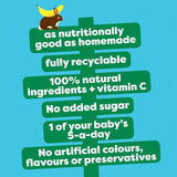 Heinz Apple Pear Banana Puree Pouch 100g, UK version