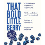 Ocean Spray blueberry juice drink 1L, imported from the UK