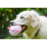Petface Pippa Puffer Fish plush dog toy, imported from the UK