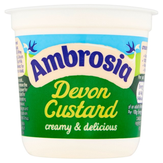 Ambrosia Devon custard pot 150g single serve - British product
