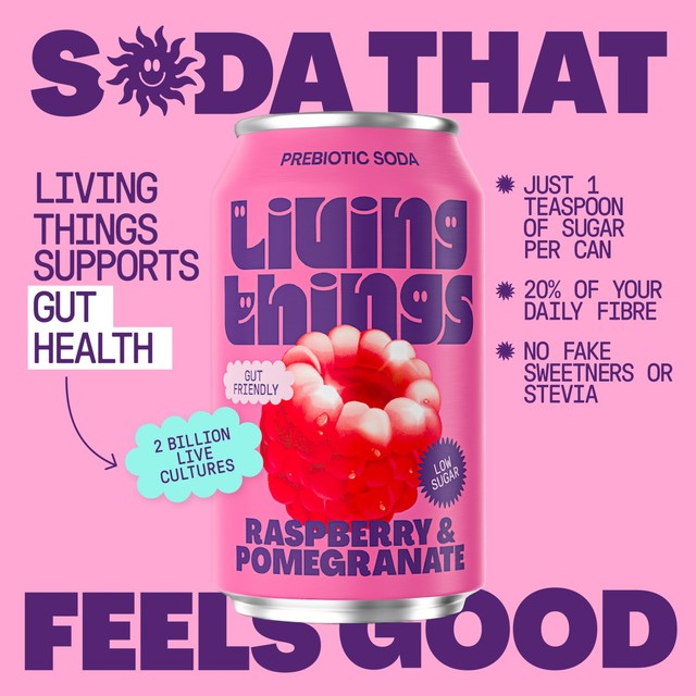 Living Things raspberry and pomegranate biotic soda 4x330ml, UK version