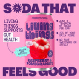 Living Things raspberry and pomegranate biotic soda 4x330ml, UK version