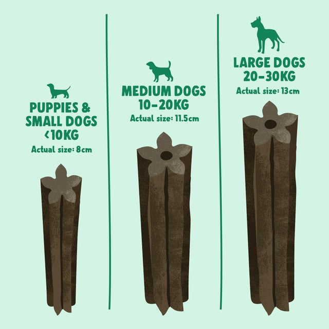 Denzel's Daily Dentals for medium dogs with peanut butter, peppermint and parsley, 100g - British product