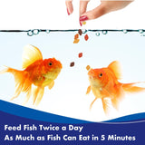 Aquarian complete nutrition goldfish food flakes 50g - British product