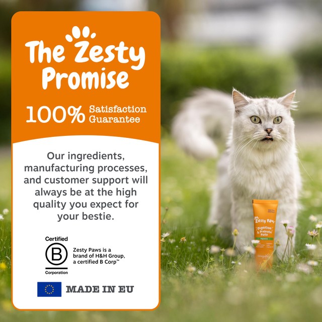 Zesty Paws anti-hairball paste for cats (British brand)