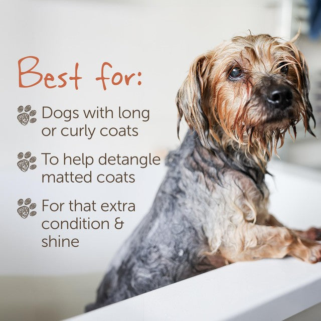 Little Beast Organic Scruffy Dog Shampoo Bar 100g, UK version