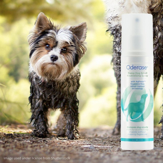 Oderase damp dog smell neutralising spray 200ml, imported from the UK