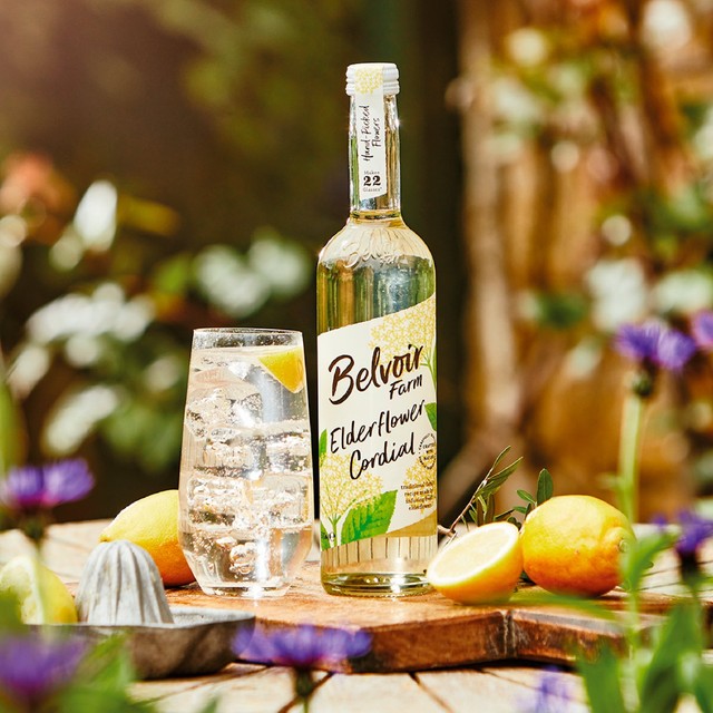 Belvoir Elderflower Cordial 500ml bottle - British product