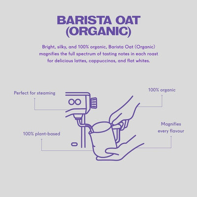Minor Figures Bio Barista Hafermilch 1L