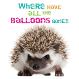 Abacus hedgehog birthday card 12.6cm x 17.9cm, UK version