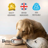 Benyfit Natural sensitive raw dog food 1kg - British product