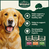 Winalot Meaty Chunks wet dog food pouches, imported from the UK