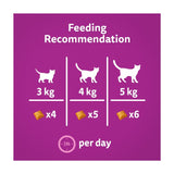 Whiskas cat treat biscuits chicken calming treats (British brand)