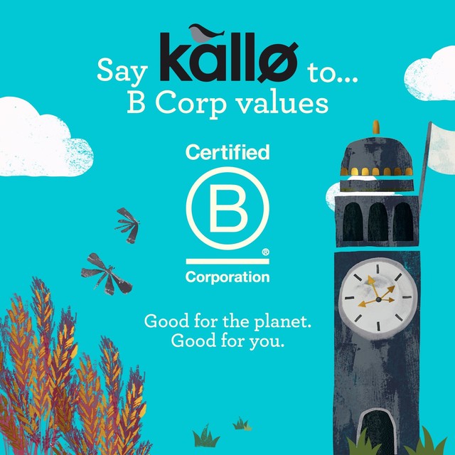 Kallo Protein Packed Lentil Cakes 100g, UK version