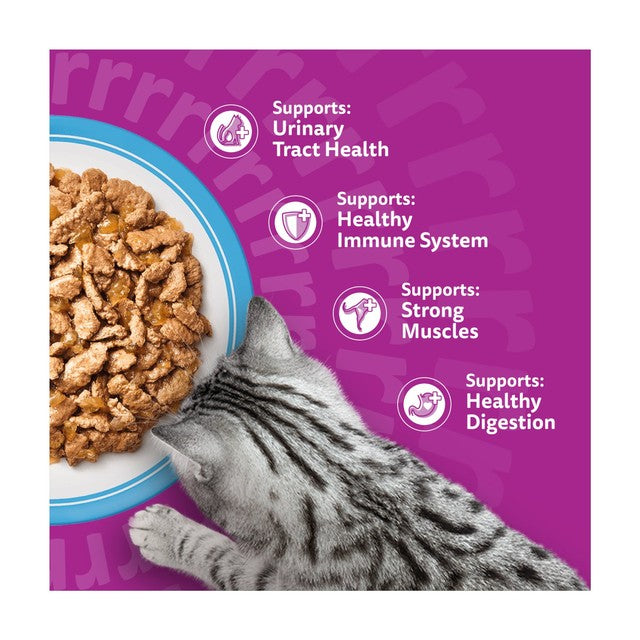 Whiskas wet cat food Fish Favourites in Jelly 12 x 85g (British brand)